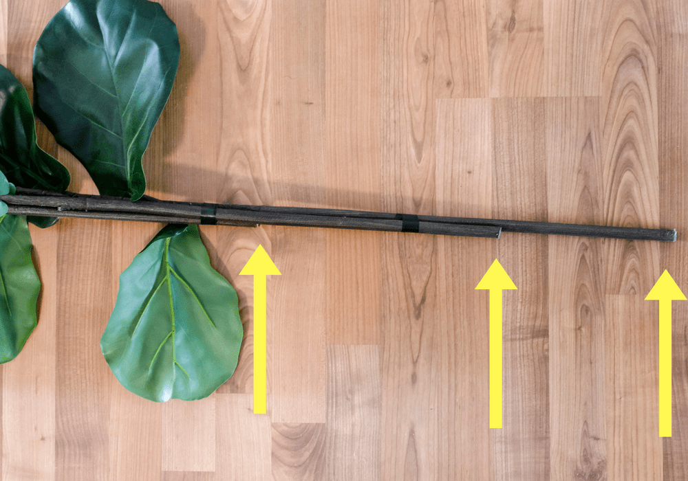 fiddle leaf fig branches aligned together to form a tree