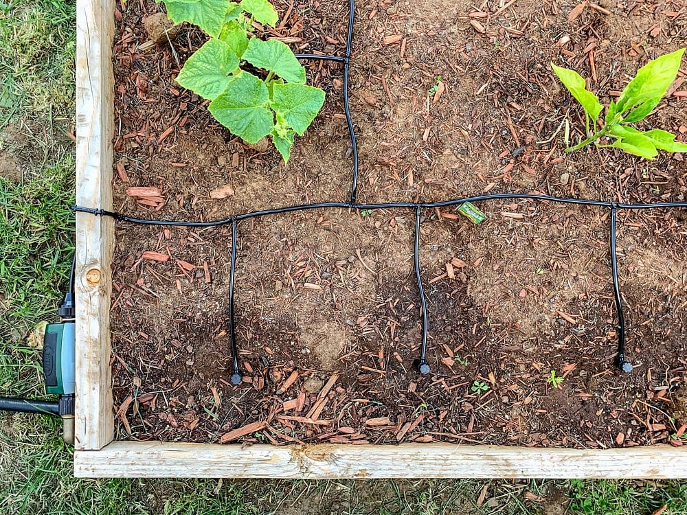drip irrigation system with 1/4" drip tubing