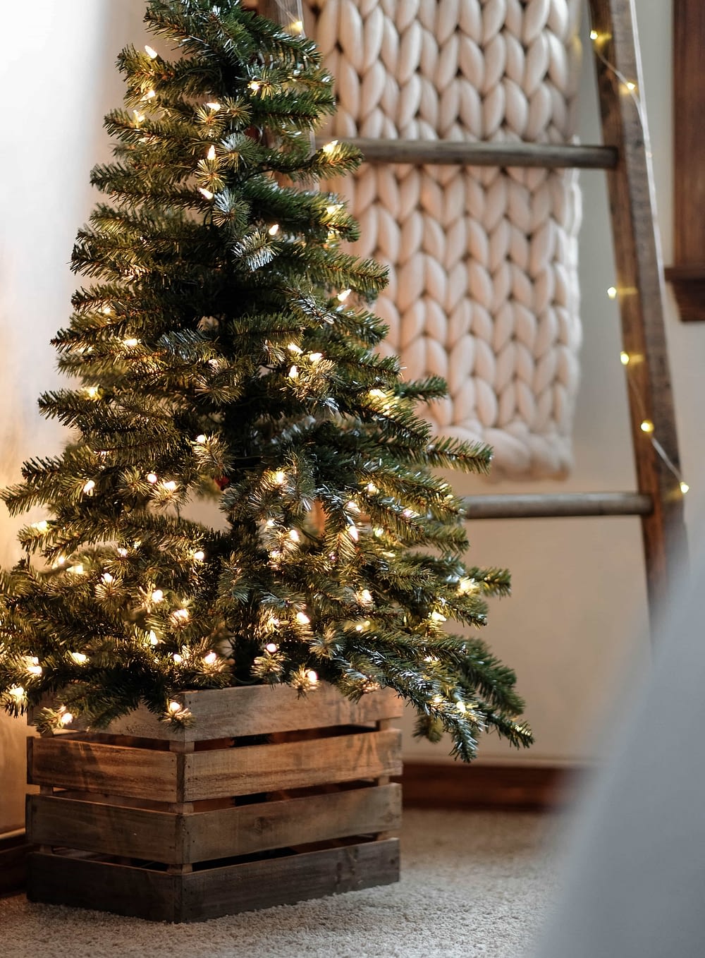 a small christmas tree with a blanket ladder in the background