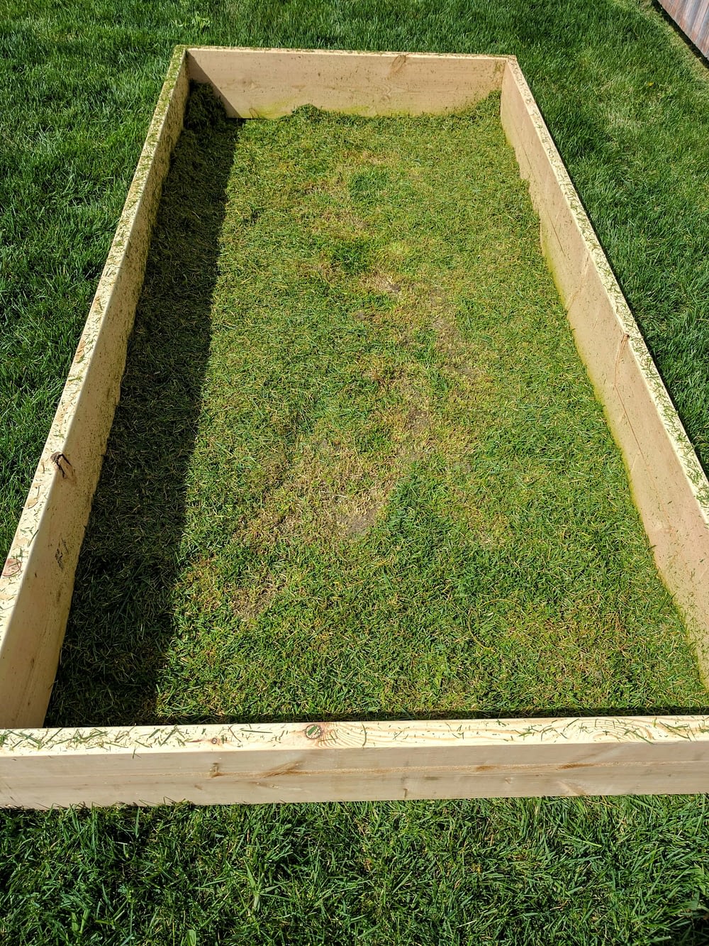 A raised garden bed frame with grass that has been cut on the inside of the frames