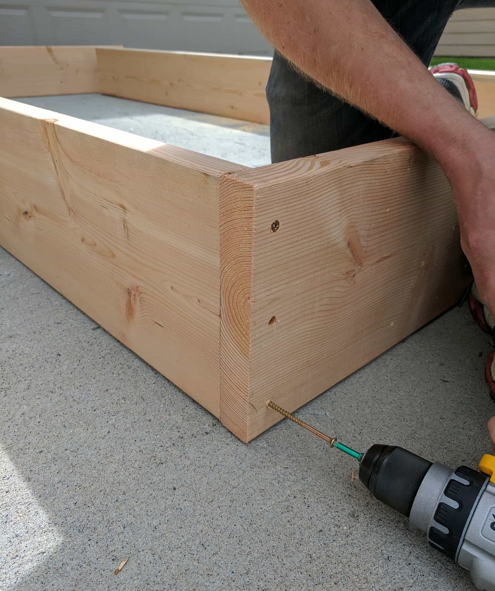 Assembling DIY Raised Garden Beds with a drill for a how to tutorial