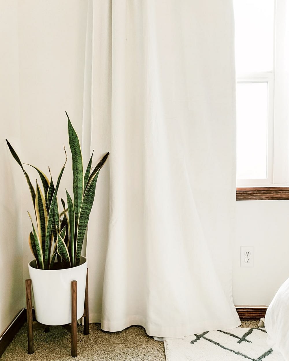 Bedroom with a plant in the corner and light pouring in from the window