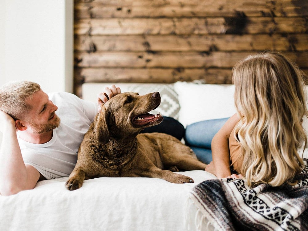 Blonde couple with a chesapeake bay retriever laying on the bed
