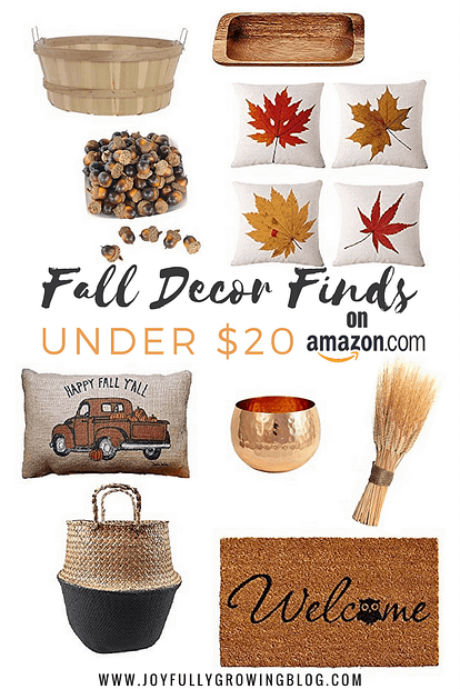 Fall Decor on a Budget! Amazon finds for under $20