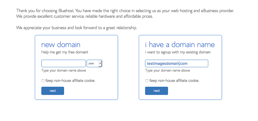 Bluehost tutorial screenshot with domain registration option